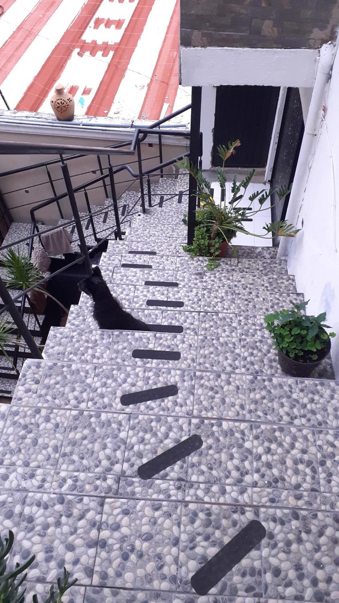 Aparta-Hotel Casa Real Apartamentos تشابالا الغرفة الصورة